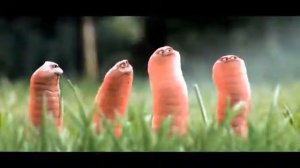 мультик про червячков CZARNY PUNKT