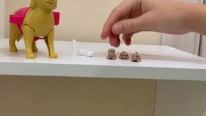Распаковка собаки для Барби! Мама с щенками Джесси!🐾🐶