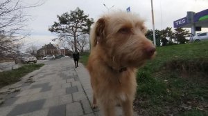 СХОДИЛИ ЗА ШПАКЛЁВКОЙ .