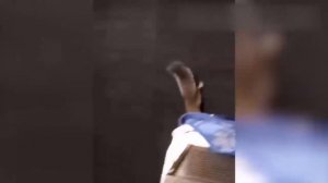 ПРИКОЛЫ С КОТАМИ - С ОЗВУЧКОЙ - Самые Смешные Животные - Смешное видео с котами.