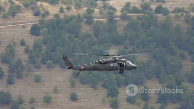 Трагедия в небе: столкновение Black Hawk и пассажирского самолета смотреть онлайн
