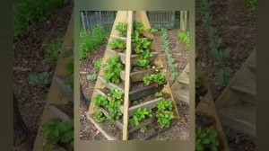 110 прекрасных идей для сада и дачи! Просто и красиво своими руками! DIY