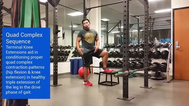 The Performax Lab | Functional Terminal Knee Extension