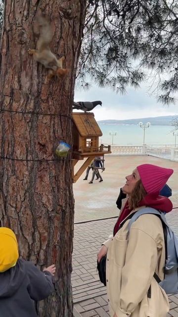 На набережной Геленджика есть прекрасные места для кормления белок и голубей #геленджик #набережная