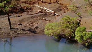 Walking With Series [1999 - 2004] - Peteinosaurus Screen Time