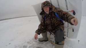 Флажки - метки лунок сняли! Открываем столы, и ловим карася. Зимний Маныч от Юрия Философа.