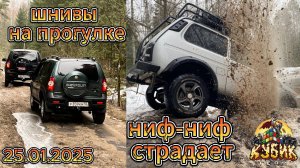 Шнивы на прогулке! Ниф-ниф страдает!