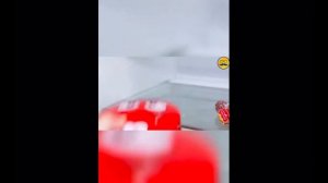 Песня Медведя Валеры