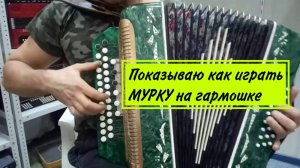 СЫГРАЕТ КАЖДЫЙ! Самый краткий и понятный разбор Мурки на гармони! #гармонь #купитьгармонь #разбор