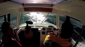Merry Fisher 755 Marlin