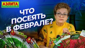 ЧТО ПОСЕЯТЬ В ФЕВРАЛЕ? Новинки семян 2025 от Агрофирмы Аэлита!