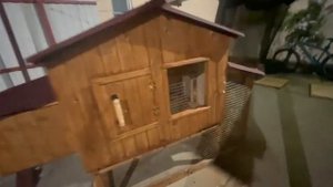 курятник своими руками. ручная работа. маленький курятник для кур.