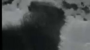 Собаки грызут волков