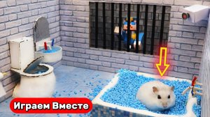 Хомяк сбегает ИЗ СЕКРЕТНОЙ ТЮРЬМЫ С ЛОВУШКАМИ ! Видео для детей