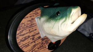 Big mouth Billy bass 15th anniversary edition!