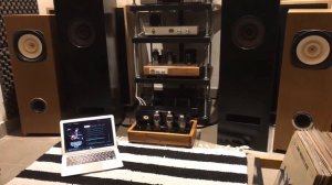 Se 6AL6G & Fostex fe206en