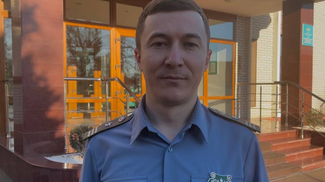 О ввозе импортного продовольственного картофеля