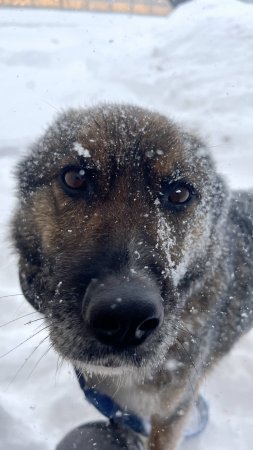 Жить он только начинает, видите-ли... 😄