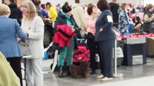 Сабанеевка 25.01.2025