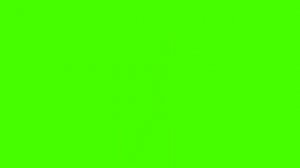 Серый волк футажи для побег от Шуми куми