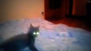 ВЕДЬМИН КОТ.mp4