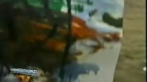 Князь( тень травы)