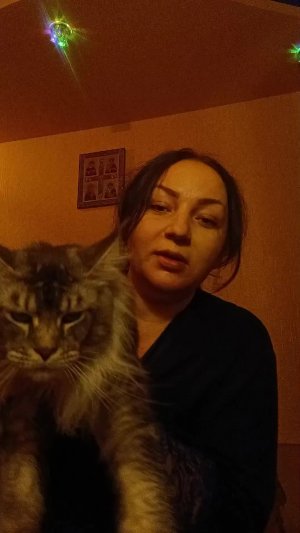 Вечерний разговор)
