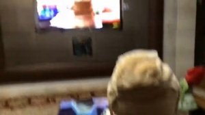 Нежный Моржик