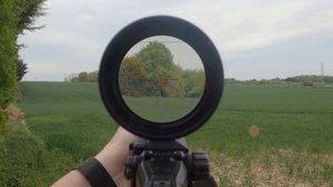 Vortex Strike Eagle 1-8x24 - First Person View