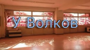 °Сериал° чёрная кошка [1/?] [Оригинал]