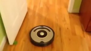 iRobot Roomba 630 cleaning my house