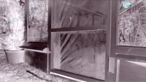 Аdvertising  Реклама Китикет Kitekat   Борис поймал пчелу In G Major