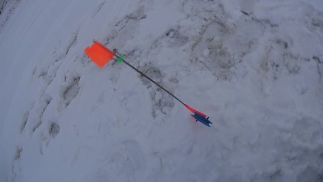 12-14 декабря 2023г Лозьва