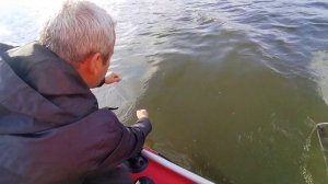 Трофейная щука! #Рыбалка #Карельский перешеек #24.09.2023