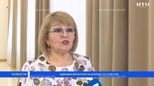 Единым фронтом на борьбу со снегом