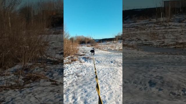 rutube.ru