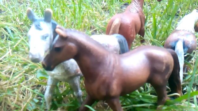 Мохито лошадей шляйх смотреть онлайн