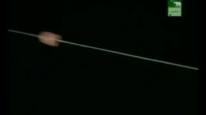 Стив Ирвин: Охотник за крокодилами. История Стивена