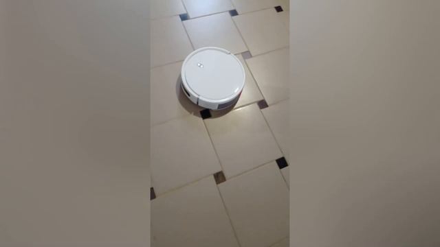 Отзывы о Xiaomi Робот-пылесосе Robot Vacuum E12 смотреть онлайн