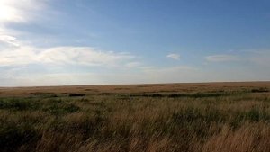 Открытие сезона по сурку байбаку в Оренбургской областиGroundhog hunting