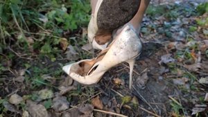 Gianmarco Lorenzi High Heels FULL Destruction, High Heels HARD Abuse, RUINED High Heels (# 829)