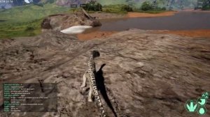 играем за омнираптора в the isle evrima на сервере MEGALODON!