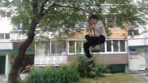 Безумец упал с дерева