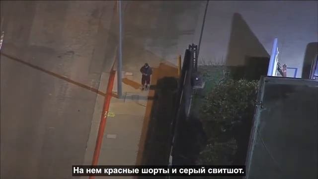 Погони полиции США