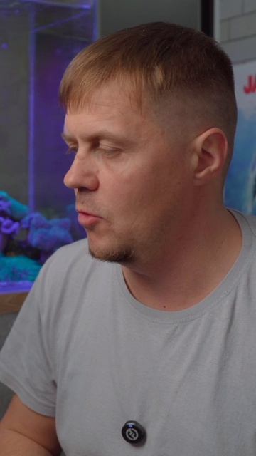 Креветки, Эуфилия смотреть онлайн