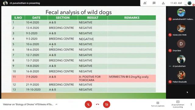 Webinar on "Biology of Dholes" #75Weeks #75species #75Zoos
