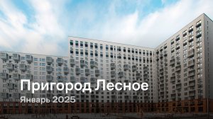 «Пригород Лесное» / Январь 2025