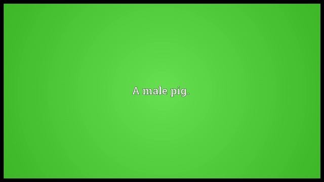 Boar Meaning