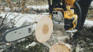 Бензопила DENZEL DS-4516 (1774671)