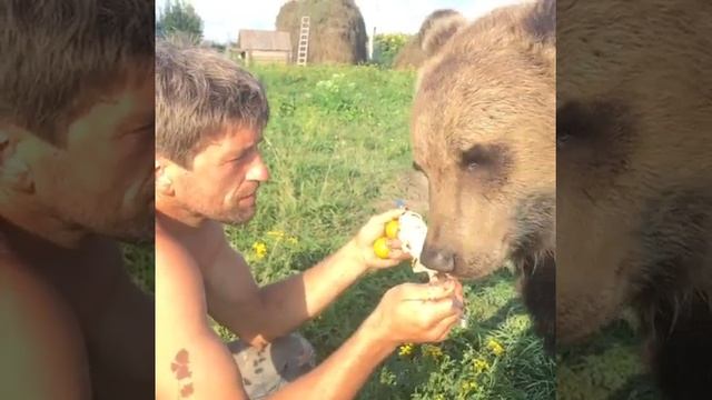 Медвежонок Вася.
